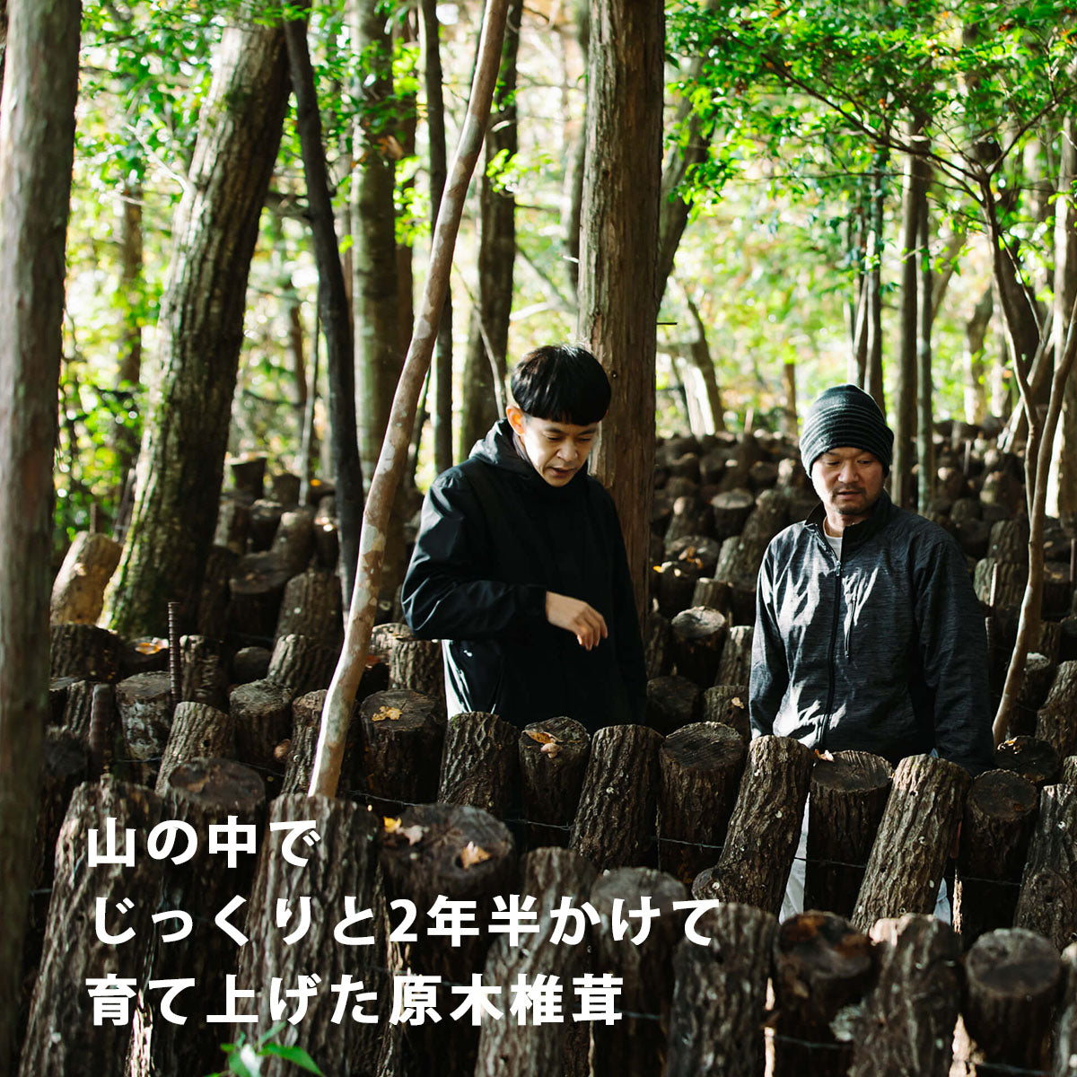 oh!dashi トマトだし【無添加：トマトのすっきりとしたうま味】