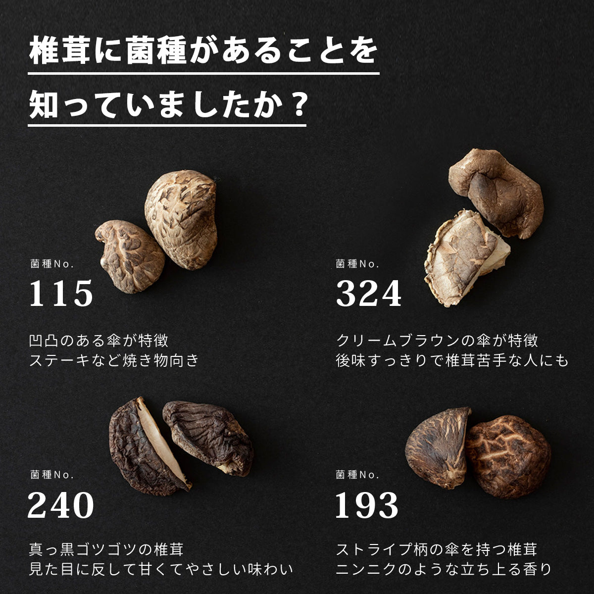 【THE SHIITAKE】干し椎茸カット原木椎茸 (#01) 100g