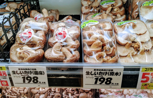 椎茸に"原木椎茸"と"菌床椎茸"があるのをご存知でしょうか