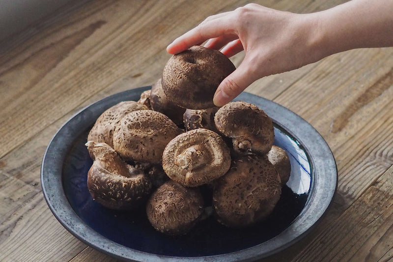 Matsuri　【椎茸祭厳選の原木生椎茸】　–　特選生椎茸　Shiitake　500g　椎茸祭