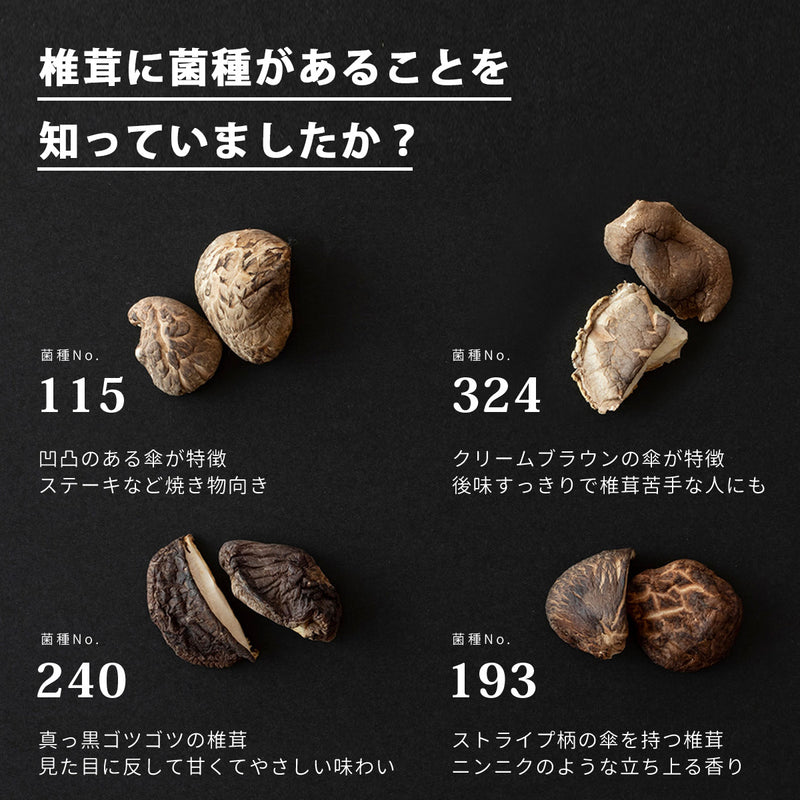 【THE SHIITAKE】干し椎茸カット原木椎茸 (#01) 100g