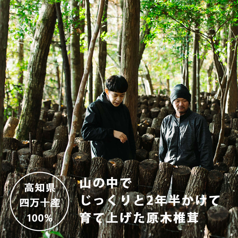 【THE SHIITAKE】干し椎茸カット原木椎茸 (#01) 100g